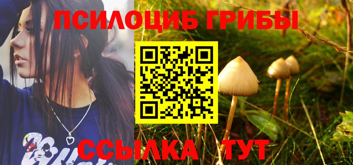 Псилоцибиновые грибы прущие грибы Джанкой