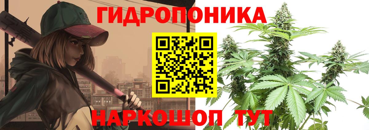 Бошки марихуана Ganja  Вход с VPN  МАРИХУАНА Amnesia  Бошки марихуана индика  МАРИХУАНА OG Kush  Джанкой 